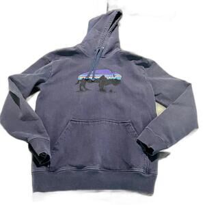 Patagonia Men's Logo Fitz Roy Horizons Uprisal Hoodie Long Sleeve Blue Size M